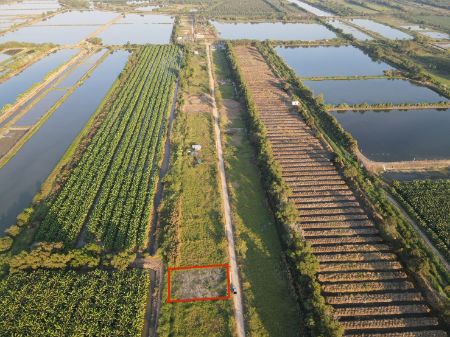 ขาย ที่ดิน วิวสวยคลอง 13 200 ตร.วา หน้ากว้าง 25 เมตร ยาว 32 เมตร รูปที่ 6