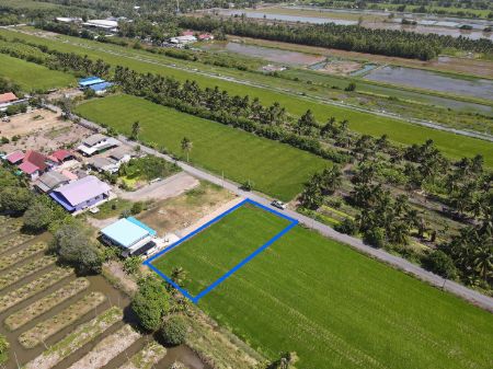 ขาย ที่ดิน แบ่งขายแปลงเล็กคลอง 9 176 ตร.วา เหมาะทำบ้านสวนเกษตร รูปที่ 4