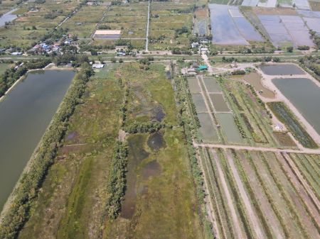 ขาย ที่ดิน ที่ดินแปลงเกษตรราคาถูกแบ่ง 3 ไร่ขึ้นไปบ้านนา 1 ไร่ ฟรีค่าโอนภาษี รูปที่ 6