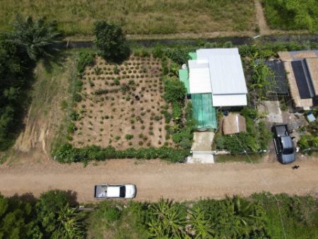 ขาย ที่ดิน พร้อมบ้านสวนเกษตรบ้านสวนเกษตร 100 ตร.วา อยู่ในแหล่งชุมชน ฟรีโอน รูปที่ 3