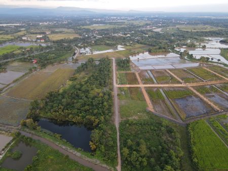 ขาย ที่ดิน วิวธรรมชาติล้อมรอบ สำหรับทำบ้านสวนเกษตรพรหมณี 1 ตร.วา ฟรีค่าโอนค่าภาษี รูปที่ 5