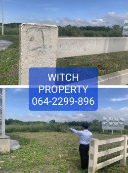 ขาย ที่ดิน จากราคาขายปกติ 70 ล้านบาท ราคาพิเศษ 38 ล้านบาท แปลงสวยติดถนนมิตรภาพ 13 ไร่ 3 งาน 40 ตร.วา ราคาประเมิณจากกรมที่ดิน 31 ล้านบาท รูปที่ 2