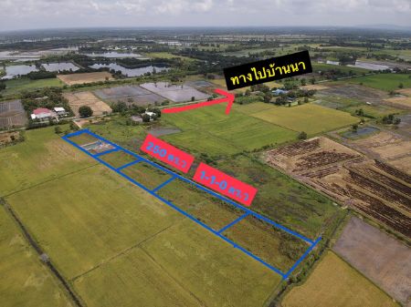 ขาย ที่ดิน ที่ติดถนนโยธาธิการเงินผ่อน บ้านนา 250 ตร.วา ด้านหลังเป็นท้องนาทำการเกษตรได้ หรือสร้างบ้านพักตากอากาศ รูปที่ 3