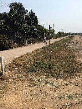 ขาย ที่ดิน โฉนดครุฑแดง พร้อมโอนบางคล้า 8 ไร่ 2 งาน 79 ตร.วา ทำเลสวย มีถนนสาธารณะเข้าถึงสุดแปลง รูปที่ 3