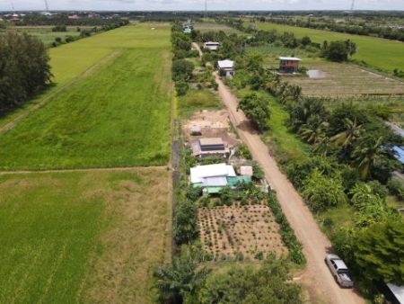 ขาย ที่ดิน พร้อมบ้านสวนเกษตรบ้านสวนเกษตร 100 ตร.วา อยู่ในแหล่งชุมชน ฟรีโอน รูปที่ 5