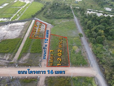 ขาย ที่ดิน วิวธรรมชาติล้อมรอบ สำหรับทำบ้านสวนเกษตรพรหมณี 1 ตร.วา ฟรีค่าโอนค่าภาษี รูปที่ 4