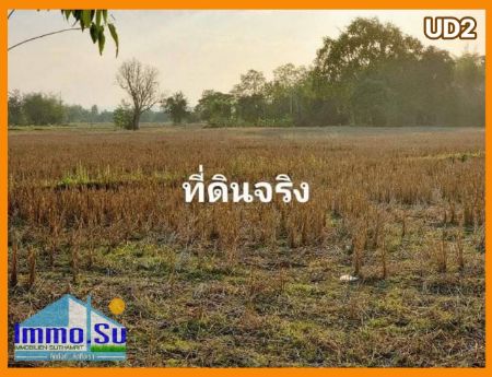 ขาย ที่ดิน โฉนดครุฑแดง โนนสูง 100 ตร.วา น้ำ ไฟฟ้า อินเตอร์เน็ต เข้าถึง รูปที่ 2