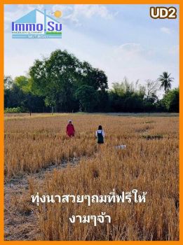 ขาย ที่ดิน โฉนดครุฑแดง โนนสูง 100 ตร.วา น้ำ ไฟฟ้า อินเตอร์เน็ต เข้าถึง รูปที่ 4