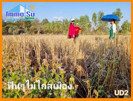 ขาย ที่ดิน โฉนดครุฑแดง โนนสูง 100 ตร.วา น้ำ ไฟฟ้า อินเตอร์เน็ต เข้าถึง รูปที่ 5