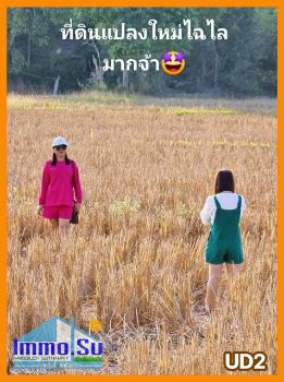 ขาย ที่ดิน โฉนดครุฑแดง โนนสูง 100 ตร.วา น้ำ ไฟฟ้า อินเตอร์เน็ต เข้าถึง รูปที่ 6