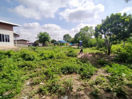 ขาย ที่ดิน ขายถูก ที่ดินเปล่า 127 ตร.วา เหมาะสำหรับสร้างบ้านและหอพัก รูปที่ 7