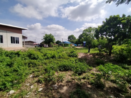 ขาย ที่ดิน ขายถูก ที่ดินเปล่า 127 ตร.วา เหมาะสำหรับสร้างบ้านและหอพัก รูปที่ 5