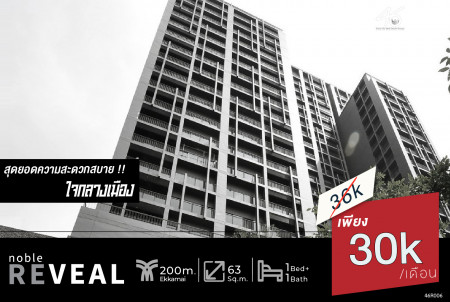 ให้เช่า คอนโด 1 Bedroom Plus NOBLE REVEAL เอกมัย 63 ตรม. ห้องเพดานสูง วิวสวย พร้อมอยุ่ รูปที่ 1