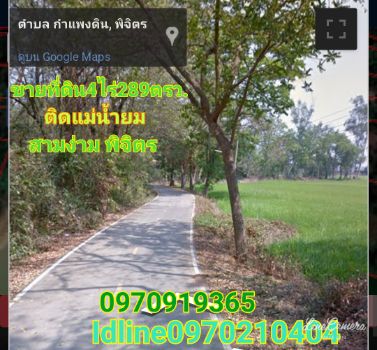 ขาย ที่ดิน ติดแม่น้ำยม ติดถนน 4 ไร่ 2 งาน 89 ตร.วา สามง่าม พิจิตร รูปที่ 2