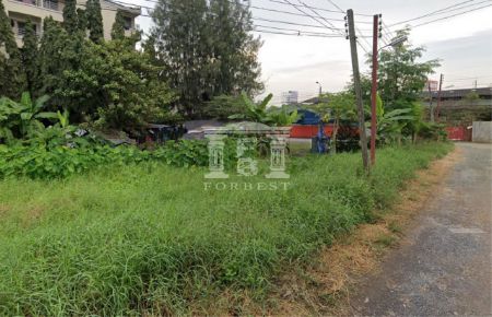 ขาย ที่ดิน รหัส41448ถนน รามอินทรา 107 วัชรพล เนื้อที่ 229 ตร.วา ห่างรถไฟฟ้าสายสีชมพู เพียง 500 เมตร รูปที่ 4