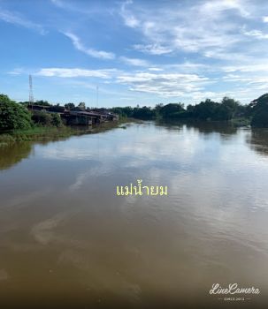 ขาย ที่ดิน ติดแม่น้ำยม ติดถนน 4 ไร่ 2 งาน 89 ตร.วา สามง่าม พิจิตร รูปที่ 3