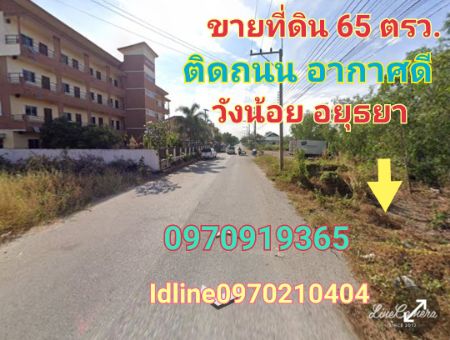 ขาย ที่ดิน ติดถนน ใกล้แหล่งธุรกิจและชุมชน บรรยากาศดี 65 ตร.วา วังน้อย พระนครศรีอยุธยา รูปที่ 3