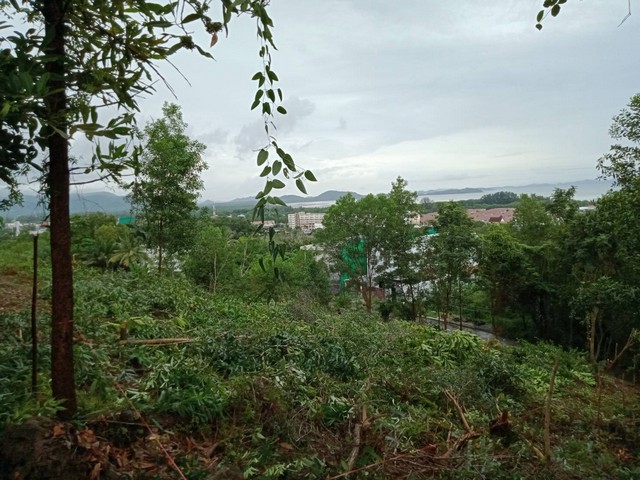 For Sales : Land at Kathu, Near Phumontra , 323 Sq.w. รูปที่ 1
