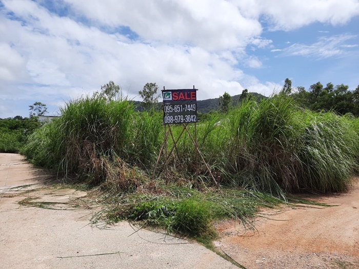 ขาย ที่ดินเปล่า 215 ตร.วา พัทยา หน้ากว้าง 37. 6 ลึก 26  แปลงมุม รูปที่ 5