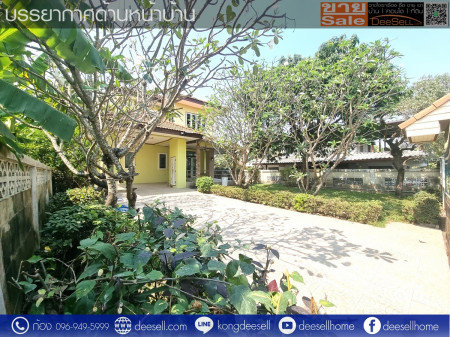 ขายบ้านเดี่ยวในหนองจอก 100 ตร.ว. 2 ชั้น บ้านก็สวย ที่ก็ใหญ่ น่าอยู่ รูปที่ 3