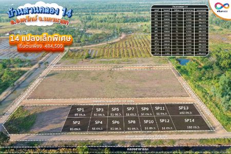 ขาย ที่ดิน ทำเลอนาคตบ้านสวนคลอง 14 องครักษ์ 51 ตร.วา วิวสวย บรรยากาศดี รูปที่ 6
