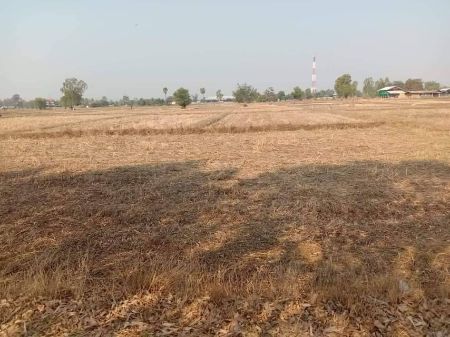 ขาย ที่ดิน ห่างถนน4เลน300เมตรต.ไพล อ.ปราสาท จ.สุรินทร์ 5 ไร่ 53 ตร.วา ห่างเสาไฟฟ้า100เมตร รูปที่ 3
