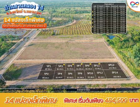 ขาย ที่ดิน ทำเลอนาคตบ้านสวนคลอง 14 องครักษ์ 51 ตร.วา วิวสวย บรรยากาศดี รูปที่ 2
