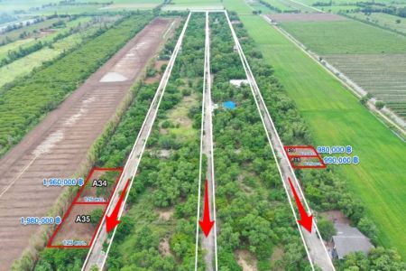 ขาย ที่ดิน โฉนด ครุฑแดง นส.4 จ ( พร้อมโอนทุกแปลง )คลอง 10 หนองเสือ 157 ตร.วา ใกล้แหล่งชุมชน เดินทางสะดวก รูปที่ 5