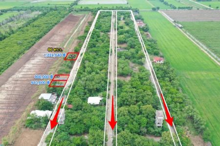 ขาย ที่ดิน โฉนด ครุฑแดง นส.4 จ ( พร้อมโอนทุกแปลง )คลอง 10 หนองเสือ 157 ตร.วา ใกล้แหล่งชุมชน เดินทางสะดวก รูปที่ 4