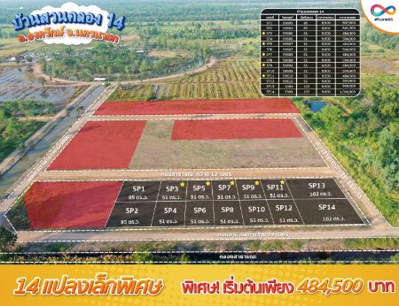 ขาย ที่ดิน ทำเลอนาคตบ้านสวนคลอง 14 องครักษ์ 51 ตร.วา วิวสวย บรรยากาศดี รูปที่ 5