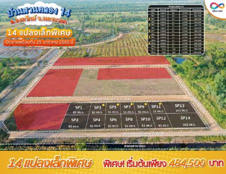 ขาย ที่ดิน ทำเลอนาคตบ้านสวนคลอง 14 องครักษ์ 51 ตร.วา วิวสวย บรรยากาศดี รูปที่ 4