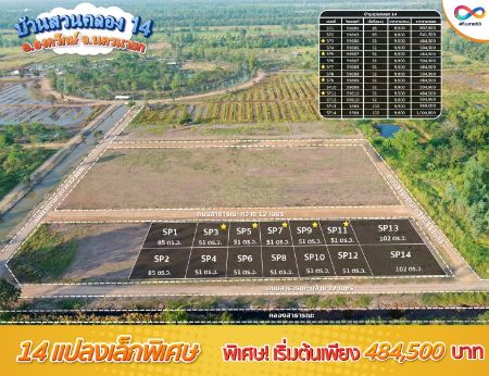 ขาย ที่ดิน ทำเลอนาคตบ้านสวนคลอง 14 องครักษ์ 51 ตร.วา วิวสวย บรรยากาศดี รูปที่ 3