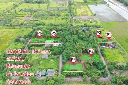 ขาย ที่ดิน แบ่งขายบ้านสวน คลอง14 องครักษ์ 105 ตร.วา ทำเลอนาคต รูปที่ 2