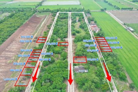 ขาย ที่ดิน โฉนด ครุฑแดง นส.4 จ ( พร้อมโอนทุกแปลง )คลอง 10 หนองเสือ 157 ตร.วา ใกล้แหล่งชุมชน เดินทางสะดวก รูปที่ 3
