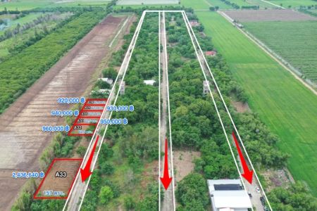 ขาย ที่ดิน โฉนด ครุฑแดง นส.4 จ ( พร้อมโอนทุกแปลง )คลอง 10 หนองเสือ 157 ตร.วา ใกล้แหล่งชุมชน เดินทางสะดวก รูปที่ 6