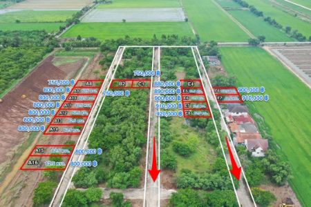 ขาย ที่ดิน โฉนด ครุฑแดง นส.4 จ ( พร้อมโอนทุกแปลง )คลอง 10 หนองเสือ 157 ตร.วา ใกล้แหล่งชุมชน เดินทางสะดวก รูปที่ 2
