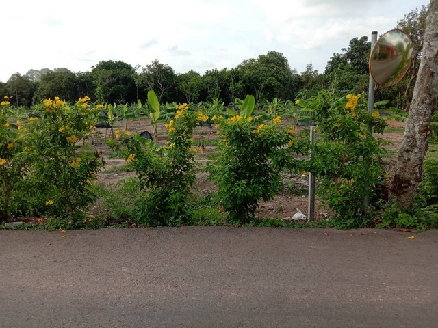 ขายที่ดินสวย ถมแล้ว ทำเลดี อำเภอเมือง จังหวัดปราจีนบุรี รูปที่ 1