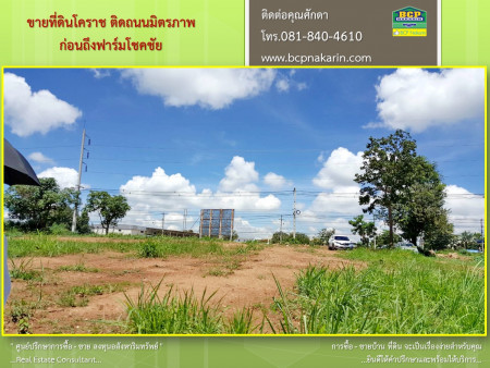 ขายที่ดินเปล่า ติดถนนมิตรภาพ ก่อนถึงฟาร์มโชคชัย ปากช่อง รูปที่ 2