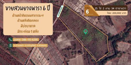 ขายเหมา สวนป่าพะยูง-ยางพารา 6แปลง รวม 61ไร่กว่า ขายเหมา 17ล้าน (จาก 17.5ล้าน) รูปที่ 6