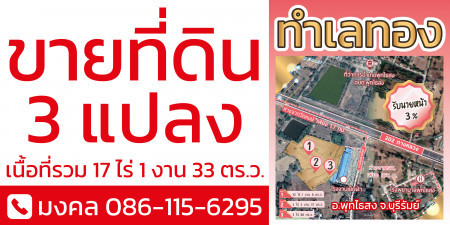 ขาย ที่ดิน แปลงใหญ่ 3โฉนดติดกัน ตรงข้ามที่ว่าการ อำเภอพุทไธสง บุรีรัมย์ รูปที่ 2