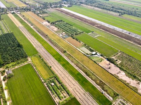 ขาย ที่ดิน ฟรีค่าโอนภาษีคลอง 8 หนองเสือ 200 ตร.วา แปลงเกษตร วิวทุ่งนา ทางเชื่อมผ่านใกล้กรุงเทพ รูปที่ 5