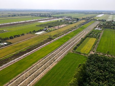 ขาย ที่ดิน ฟรีค่าโอนภาษีคลอง 8 หนองเสือ 200 ตร.วา แปลงเกษตร วิวทุ่งนา ทางเชื่อมผ่านใกล้กรุงเทพ รูปที่ 3