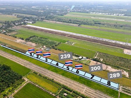 ขาย ที่ดิน ฟรีค่าโอนภาษีคลอง 8 หนองเสือ 200 ตร.วา แปลงเกษตร วิวทุ่งนา ทางเชื่อมผ่านใกล้กรุงเทพ รูปที่ 2