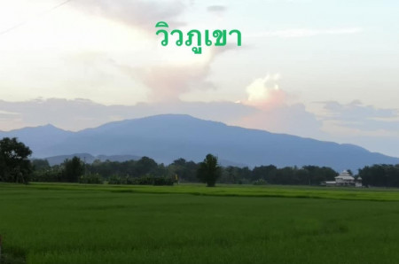 ขายด่วน บ้านเดี่ยว 2ห้องนอน 2ห้องน้ำ บ้านสวย ในราคาเริ่มต้น 1.59 ล้านบาท มีเพียง4หลังเท่านั้น รูปที่ 4