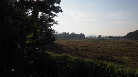 ขายที่ดิน วิวภูเขา ใกล้อุทยาน และสถานที่ท่องเที่ยว ธรรมชาติ รูปที่ 6