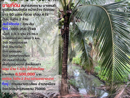 ขายที่ดิน บางคนที สมุทรสงคราม รูปสี่เหลี่ยมจัตุรัส หน้ากว้างติดถนน ยาว80เมตร ที่สวย เกือบ4ไร่ ไร่ละไม่ถึง2ล้าน รูปที่ 3