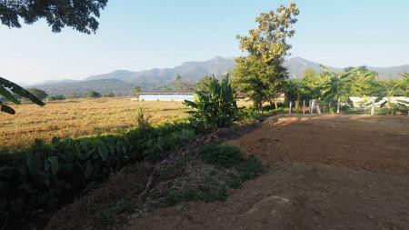 ขายที่ดิน วิวภูเขา ใกล้อุทยาน และสถานที่ท่องเที่ยว ธรรมชาติ รูปที่ 3