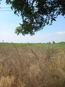 ขาย ที่ดิน ติดถนน เส้นท่าม่วงกาญจนบุรี ไป จอมบึงราชบุรี รูปที่ 5