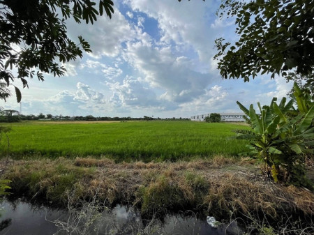ขาย ที่ดิน ติดถนน ตรงข้าม เพอร์เฟ็ค พาร์ค บางใหญ่ นนทบุรี รูปที่ 6