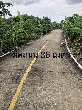 ขายที่ดิน 7ไร่ 2งาน ติดแม่น้ำท่าจีน (เจ้าของขายเอง) กระทุ่มแบน สมุทรสาคร รูปที่ 6